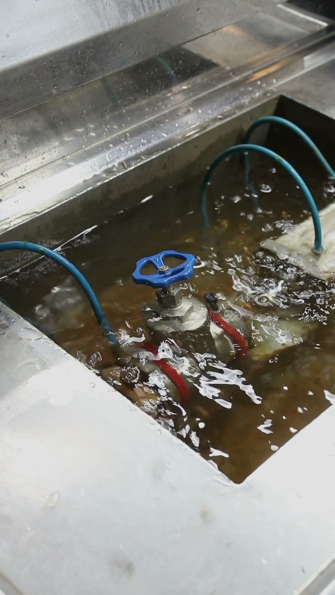 Registro submerso em tanque de teste de estanqueidade, com mangueiras de pressurização e bolhas visíveis na água
